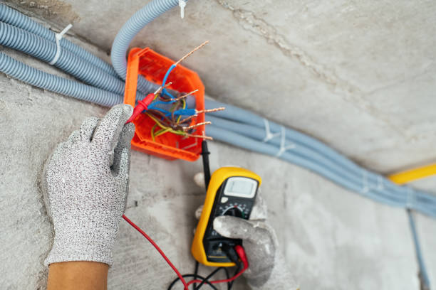 Best Electric Panel Repair  in Syracuse, NE